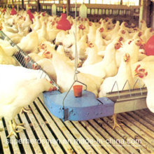 Automatic Chicken Farm Equipment für das Züchterhaus
